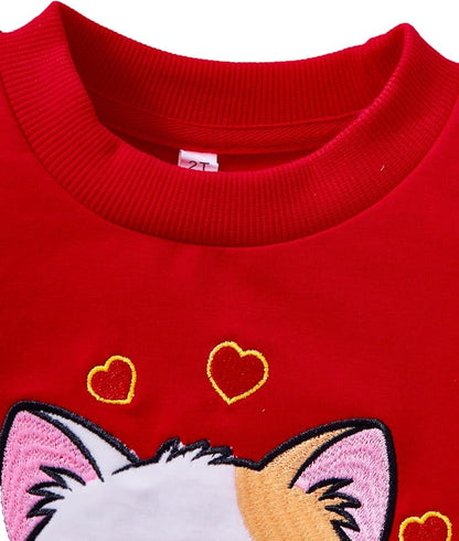 Toddler Baby Girls Cotton Sweater, Long Sleeve Crewneck Sweatshirt Pullover Kids Warm Clothing for Fall Winter