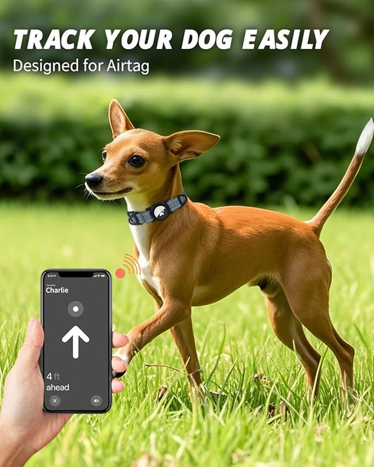 Joytale Airtag Dog Collar, Reflective Pet Collar with Waterproof AirTag Holder, Dual D-Rings, Soft Padded Adjustable for Extra Small and Puppy Dogs, Gray, XS