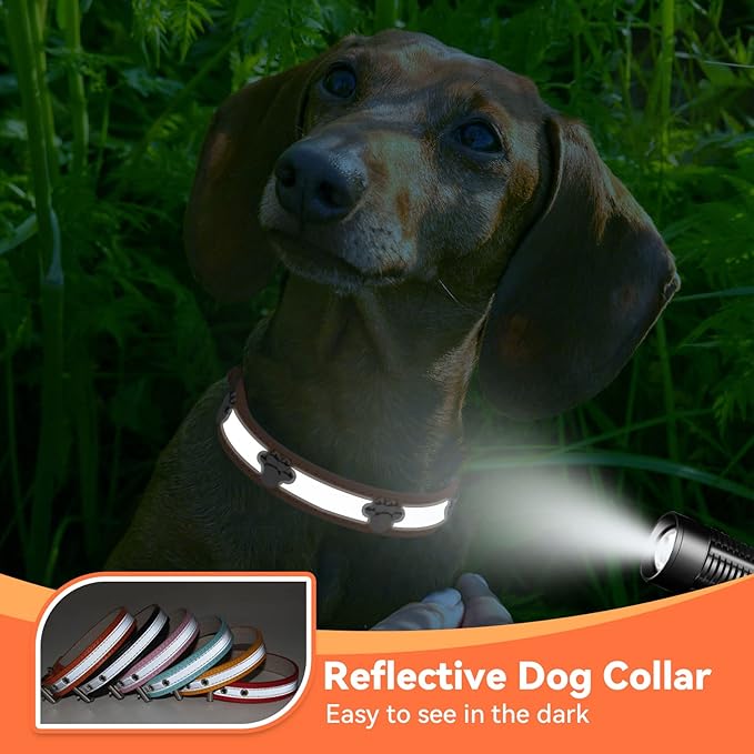 PETCARE Reflective Dog Collar with Cute Paw Rivet Studded Funny Soft PU Leather Adjustable Puppy Dog Collars for Small Medium Large Dogs Cats (Orange,XX-Large)