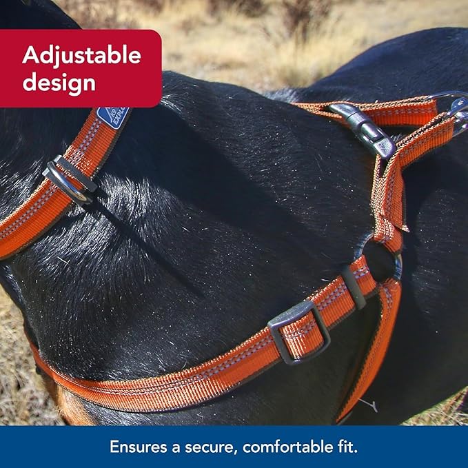 Coastal Pet K9 Explorer Reflective Adjustable Padded Dog Harness - Plush Chest Pad for Comfort - No-Pull Dog Harness for Small and Large Dogs - Campfire Orange - 1" x 26"-38", Large