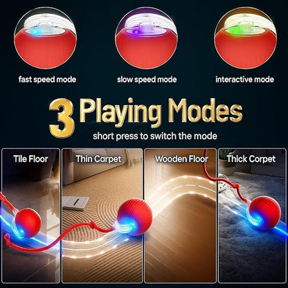 2026 New 2Pack Cat Ball Kitten Toys for Indoor Interactive Kitty Ball Toy Speedy Tail 360° Automatic Rolling Electric Moving Rechargeable,Smart Pet Chase with Rope for Bored Cats (RED & Blue) 2 Pcs