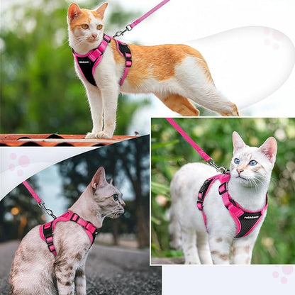 rabbitgoo Cat Harness and Leash Set, Escape Proof Soft Adjustable Vest Harnesses for Outdoor Walking, Easy Control Breathable Kitten Jacket with Reflective Strips, Black & Rose Pink, XS