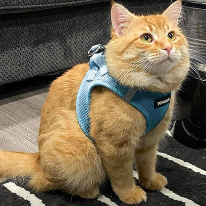 Best Pet Supplies Voyager Step-in Air Harness - All Weather Mesh, Reflective, No Pull Harness for Dogs, Cats - Secure with Hook & Loop Fastener, Buckle, Double D-Rings - Baby Blue, XL