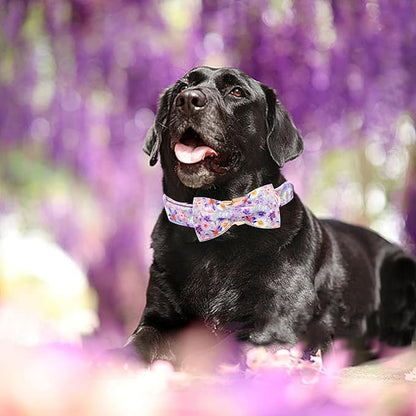 Elegant little tail Dog Collar, Rose Print Pet Collar Summer Dog Collar Durable Metal Buckle Dog Collars Cotton Pet Adjustable Dog Collars for Large Dogs