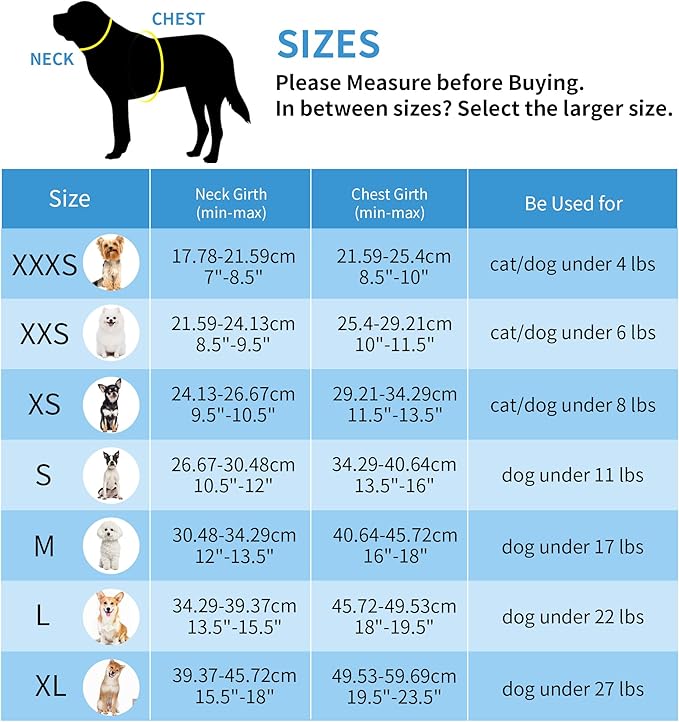 AIITLE Small Harness for Puppy with A Leash - Dog Vest Harness with Super Breathable Mesh, Reflective No-Pull Pet Harness for Outdoor Walking, Running for Small Dogs, Cats Pure Purple XXS