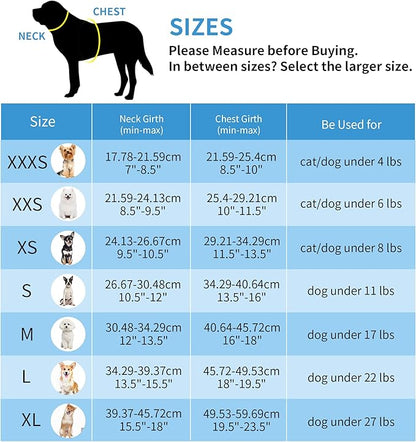 AIITLE Step in Dog Harness and Leash Set - No Pull Escape Proof Vest Harnesses with Soft Mesh and Reflective Bands, Adjustable Pet Outdoor Harnesses for Small and Medium Dogs Hot Pink M