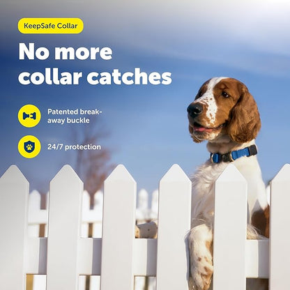 PetSafe KeepSafe Collar for Dogs - Protects Against Collar Accidents - Long Lasting - Durable - Adjustable - Breakaway - Outdoor-Safe - Large - 1 In. Wide - Blue
