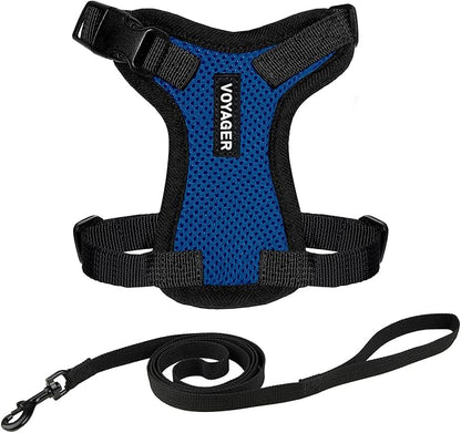 Voyager Escape-Proof Step-in Lock Cat Harness & 5ft Neoprene-Handle Leash Set All-Weather Mesh with Reflective Stitching for Small to Large Cats by Best Pet Supplies, Royal Blue/Black Trim, XS