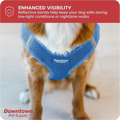Downtown Pet Supply Step in Dog Harness for Teacup Dogs & Cats No Pull, XX-Small, Cobalt - Adjustable Harness with Padded Mesh Fabric and Reflective Trim - Buckle Strap Harness for Dogs