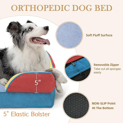 Comfort Expression Orthopedic Dog Bed for Large Dogs 36x27 Inch, Waterproof Egg Crate Foam Large Pet Bed with Removable Bolsters, Dog Couch with Washable Cover & Non-Slip Bottom, Funfetti Fiesta