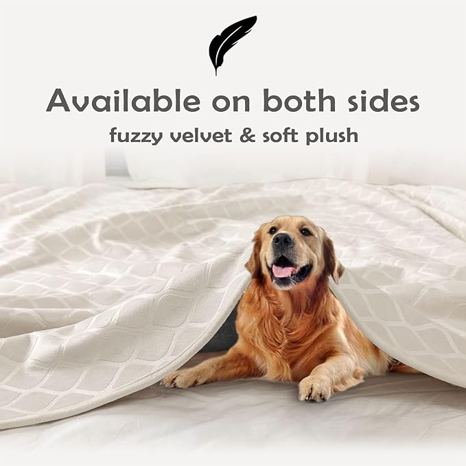 fuguitex Waterproof Dog Blanket Bed Cover Dog Crystal Velvet Moroccan Fuzzy Cozy Plush Pet Blanket Throw Blanket for Couch Sofa(52 * 82 inch, Cream+Grey)