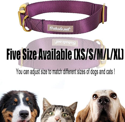 Nylon Dog Collar - Adjustable Deep Purple Soft Webbing Dog Collars for Small Medium Large Dogs Boy Girl Puppy Collar with Safety Metal Buckle M