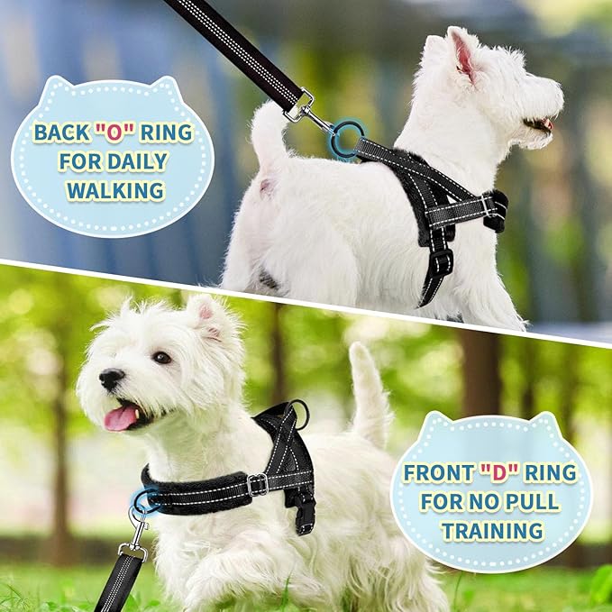 SlowTon No Pull Small Dog Harness and Leash Set, Puppy Soft Vest Harness Neck & Chest Adjustable, Reflective Lightweight Harness & Anti-Twist Pet Lead Combo for Small Medium Dogs (Black, XXS)