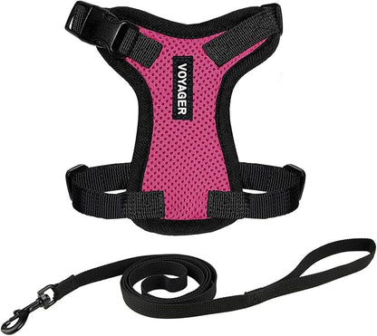 Voyager Escape-Proof Step-in Lock Cat Harness & 5ft Neoprene-Handle Leash Set All-Weather Mesh with Reflective Stitching for Small to Large Cats by Best Pet Supplies, Fuchsia/Black Trim, S