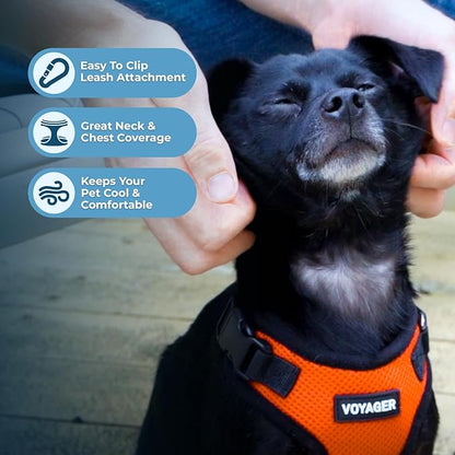 Voyager Step-in Pet Harness - All Weather Mesh, Adjustable Step in Harness for Cats and Dogs by Best Pet Supplies - Orange/Black Trim, M