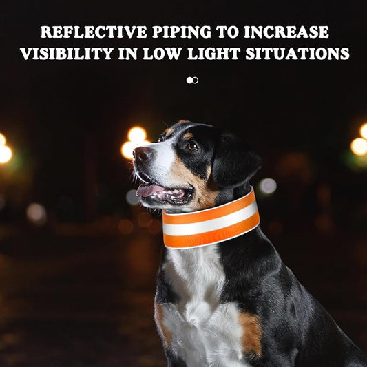 Paterr 2 Pcs Reflective Dog Collar High Visibility Adjustable Pet Collars with Quick Release Fastener Comfortable Dog Walking Accessories for Small Medium Large Pet, Orange, Fluorescent Green(Stripe)