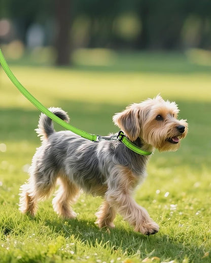 Joytale Small Dog Collar, Reflective and Adjustable Nylon Collar with Quick-Release Buckle, Lightweight No-Choke Design for Small Dogs, Green, 3/4" Width