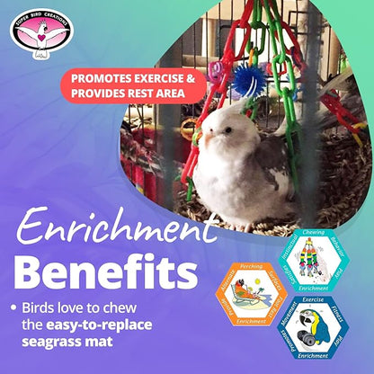 Super Bird Creations SB748 Flying Trapeze Bird Toy for Conures, Quakers, Cockatiels, Parrots, Senegals, Multi-Colored Chain, Seagrass Mat, Enrichment Toy - Medium Bird Size, 14" x 13" x 12"