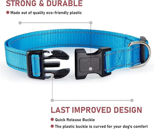 Reflective Dog Collar with Buckle Adjustable Safety Nylon Collars for Small Medium Large Dogs, Sky Blue XS