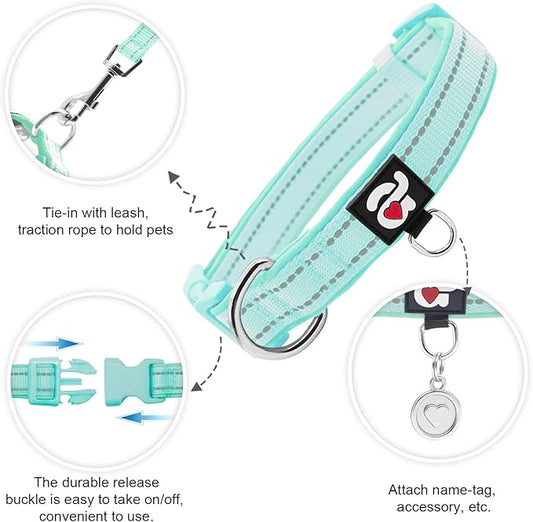 azuza Reflective Dog Collar,Soft Neoprene Padded Pet Collar with ID Tag Ring,Adjustable for Small Dogs,Teal,S