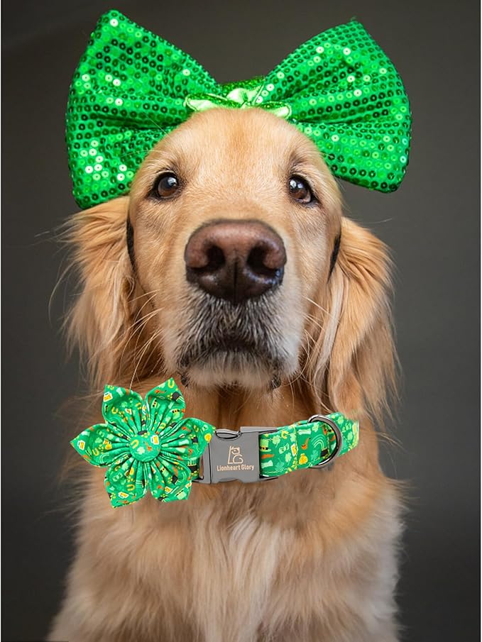 Lionheart glory St. Patrick's Day Dog Collar with Flower Dog Collar for Large Dogs, Green Collars Lucky Clover Shamrock Dog Collar Flower Pet Collar Bows Heavy Duty