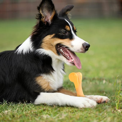 Tikaton Dog Chew Toys for Aggressive Chewers, Chicken Flavor Durable Dog Teething Chew Toys Bones for Large/Medium/Small Puppies