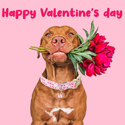 Faygarsle Valentine's Day Dog Collar, Pink with Red and White Hearts Pattern, Adjustable with Quick-Release Buckle and Heart Charm L