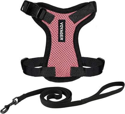 Voyager Escape-Proof Step-in Lock Cat Harness & 5ft Neoprene-Handle Leash Set All-Weather Mesh with Reflective Stitching for Small to Large Cats by Best Pet Supplies, Pink/Black Trim, XXS