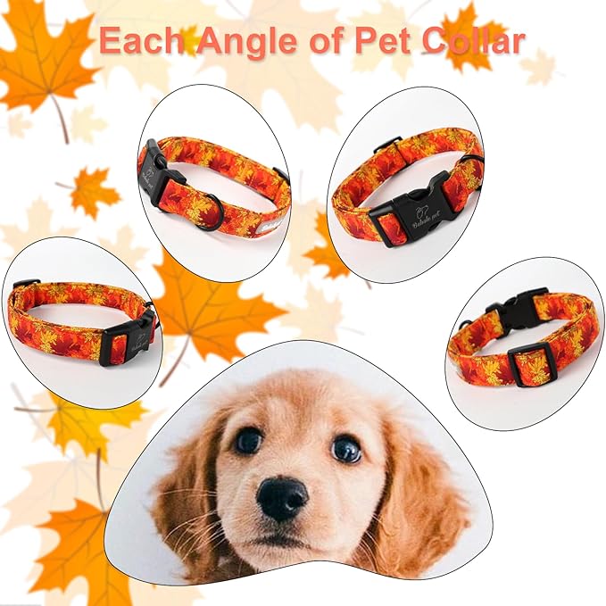 Fall Dog Collar, Gold Maple Leaves Pattern Fall Thansgiving Puppy Collar, Soft Adjustable Cotton Holiday Dog Collars for Small Medium Large Boy&Girl Dogs M