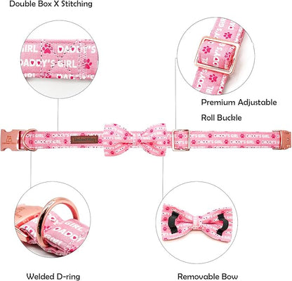 Lionheart Glory Dog Bow Collar - Valentine's Day Collar for Small Dogs, Pink with Bowtie