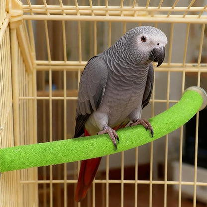 Rypet Parrot Perch Stand Toy Used for Cage Corner for Paw Grinding Clean Stick Exercise, Rough-Surfaced Quartz Bird Perch Standing Cage Accessorie for for Small Parakeets Cockatiel Conures (Green XL)