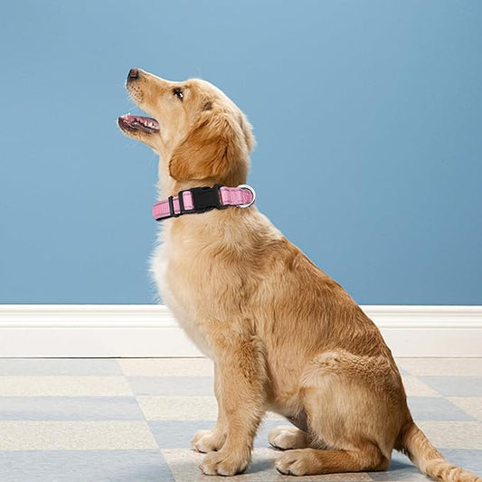 Reflective Dog Collar, Adjustable Soft Neoprene Padded Nylon Pet Collars with Buckle for Puppy and Small Dogs, Cats, Light Pink,XS
