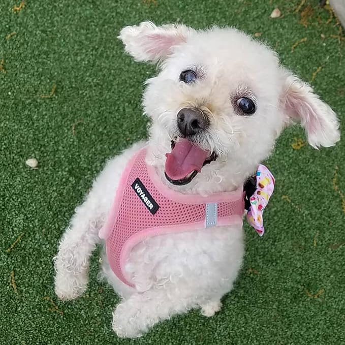 Best Pet Supplies Voyager Step-in Air All Weather Mesh Harness and Reflective Dog 5 ft Leash Combo with Neoprene Handle, for Small, Medium and Large Breed Puppies - Harness Leash Set (Pink), M