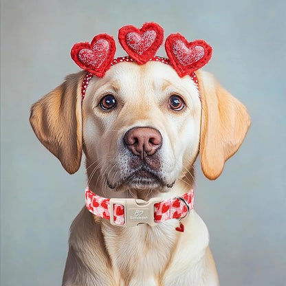 Valentines Dog Collar for Medium Dogs - Cute Pink Girl Dog Collar, Doodle Heart Pattern, Adjustable Valentine Dog Collars with Red Heart Charm M
