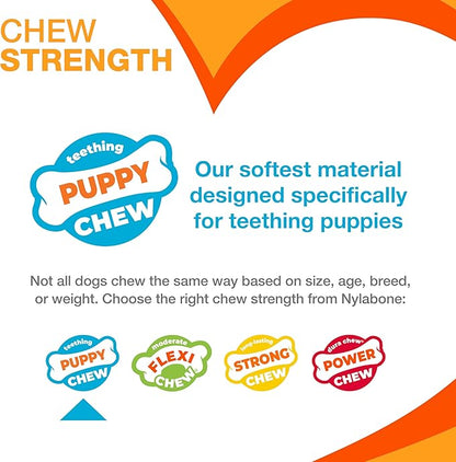 Nylabone Puppy Chew Key Ring Toy, Toys for Teething Puppies, Multi Color, Bacon Flavor, Small - Up to 25 lbs, 1 Count