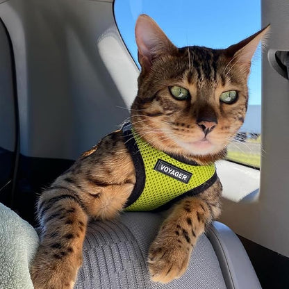 Best Pet Supplies Voyager Step-in Air Harness - All Weather Mesh, Reflective, No Pull Harness for Dogs, Cats - Secure with Hook & Loop Fastener, Buckle, Double D-Rings - Lime Green/Black Trim, L