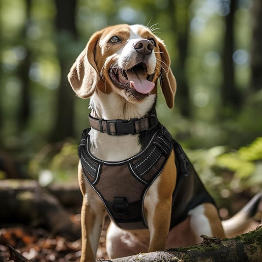 Joytale Reflective Dog Collar, Soft Neoprene Padded, Metal D-Ring, Nylon Pet Collar Adjustable for Small Dogs, Brown, Small