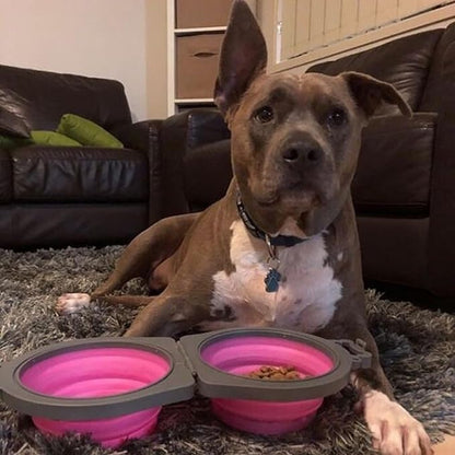 Loving Pets Bella Roma Double Diner Collapsible Dog Bowls - Silicone Dog Bowls, Foldable Bowl, Puppy Essentials & Hiking Pet Supplies Great for Home & Travel (Pink, Small)
