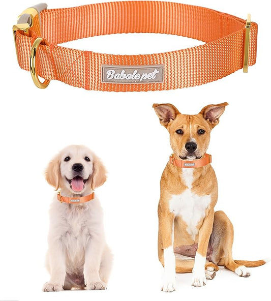 Nylon Dog Collar - Adjustable Orange Soft Webbing Dog Collars for Small Medium Large Dogs Boy Girl Puppy Collar with Safety Metal Buckle XL
