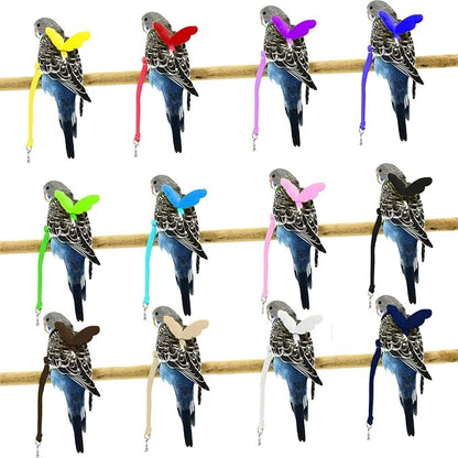Dnoifne Pet Parrot Bird Harness and Leash, Adjustable Training Design Anti-Bite, Bird Nylon Rope with Cute Wing for Parrots, Suitable for Scarlet, Keck, Mini Macaw and Same Size Birds (Black)
