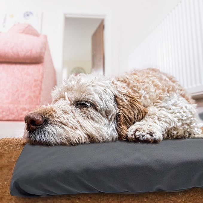 Dog Bed Cover Waterproof Replacement Machine Washable Covers for Dog Bed Heavy Duty Scratch Resistant Mattress Protector Pet Bed 47x29 Inch Grey Cover Only