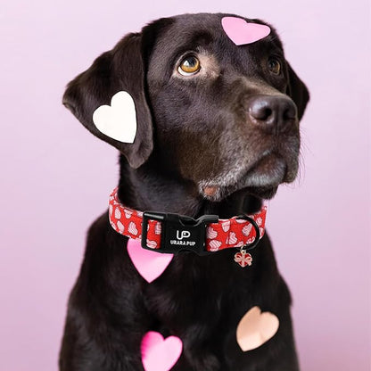 Valentine's Dog Collar, UP URARA PUP Pink Heart in Red Adjustable Pet Collar with Bowknot Charm, Wedding Dog Accessories for Small Medium Large Dogs