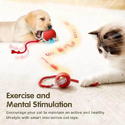2 PCS Interactive Cat Toy Rolling Ball Chewie Viral Dog Ball, Smart Automatic Rolling Pet Balls,Automatic Moving Electric Cat Toy