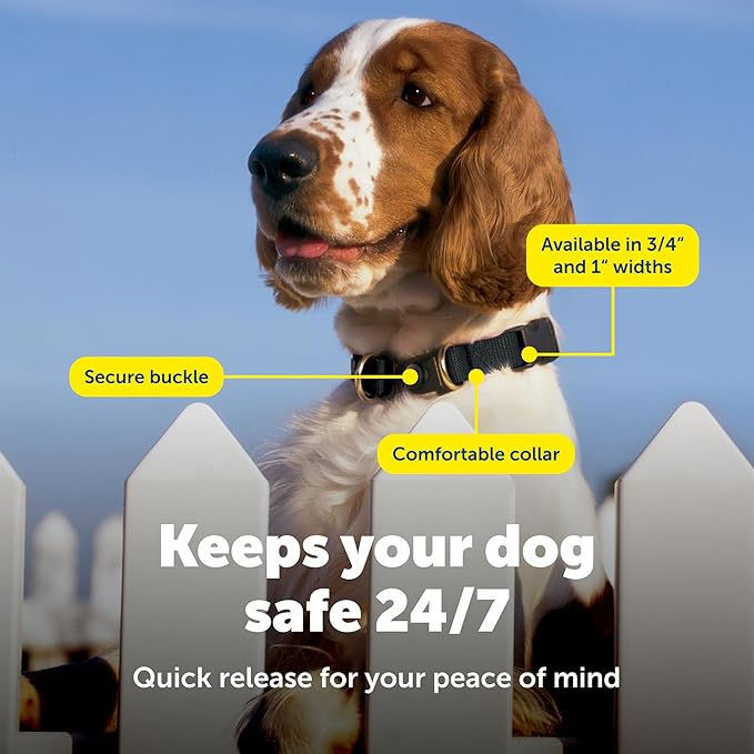 PetSafe KeepSafe Collar for Dogs - Protects Against Collar Accidents - Long Lasting - Durable - Adjustable - Breakaway - Outdoor-Safe - Large - 1 In. Wide - Black