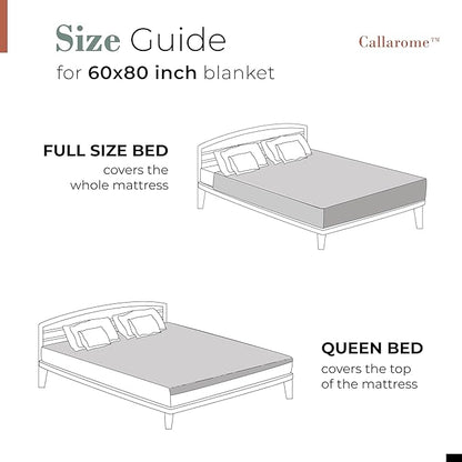 Waterproof Blanket for Bed or Couch – Soft and Leakproof Waterproof Throw Blanket, Water Proof & Stain Resistant Easy to Clean Throw Blanket Cover for Adults or Pets, Reversible Blue/Beige 60"x80"