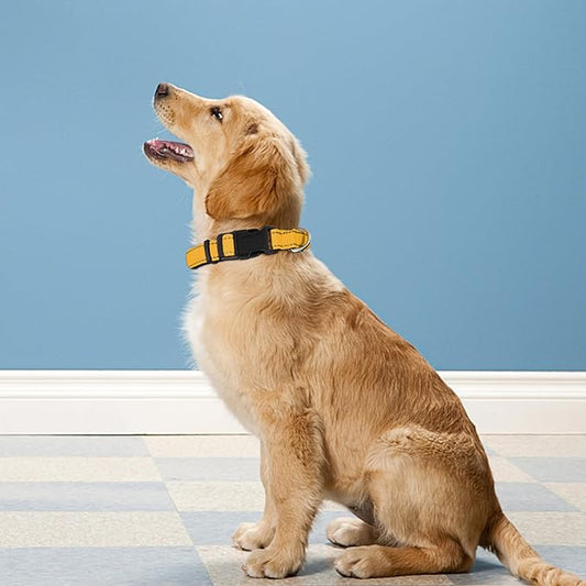 Reflective Dog Collar, Adjustable Soft Neoprene Padded Nylon Pet Collars with Buckle for Puppy and Small Dogs, Cats, Yellow,XS