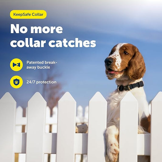 PetSafe KeepSafe Collar for Dogs - Protects Against Collar Accidents - Long Lasting - Durable - Adjustable - Breakaway - Outdoor-Safe - Medium - 1 In. Wide - Black