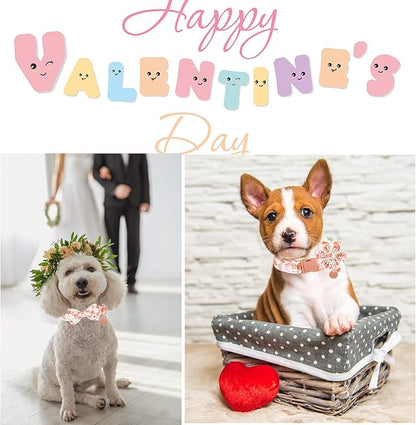 UP URAR PUP Valentine's Dog Collar With Bowtie for Puppy Girl Boy Dog or Cat, Gift Collar With Metal Buckle, Wedding Dog Collar, White, XS