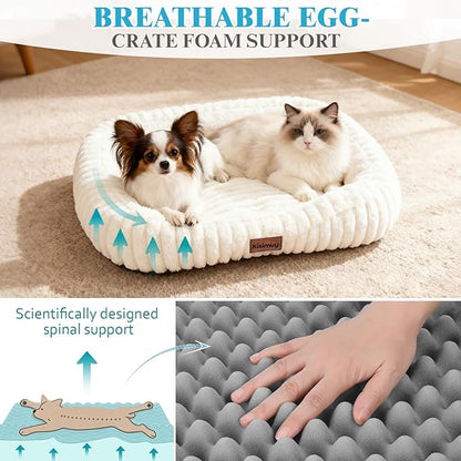 Dog Bed for Small & Medium Dogs – Calming Furry Puppy Bed with Washable Removable Cover, Anti-Slip Bottom & Orthopedic Support Foam, Rectangle Pet Cuddler for Indoor Cats/Dogs, 25"x21"x4", Cream