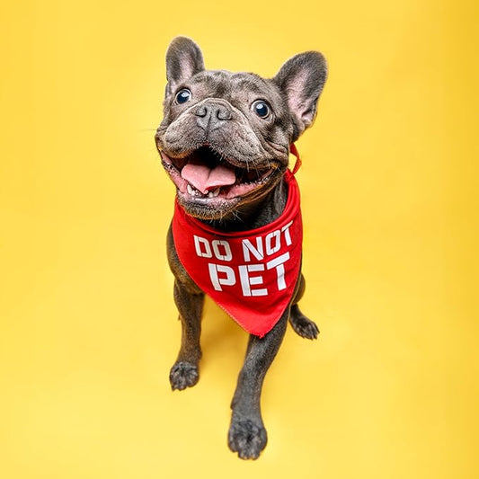 Do Not Pet Triangle Dog Bandana (Black OS 157)